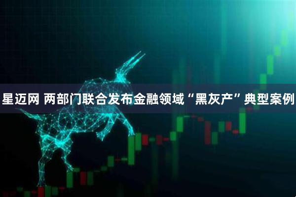 星迈网 两部门联合发布金融领域“黑灰产”典型案例