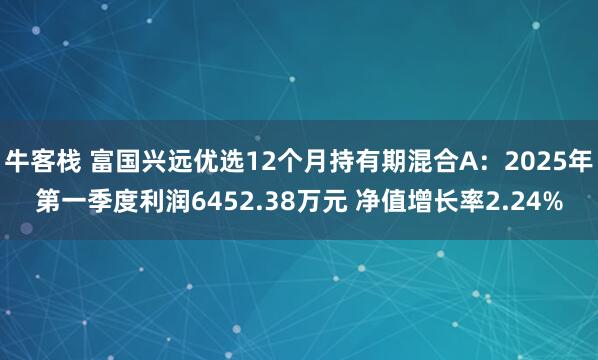 牛客栈 富国兴远优选12个月持有期混合A：2025年第一季度利润6452.38万元 净值增长率2.24%