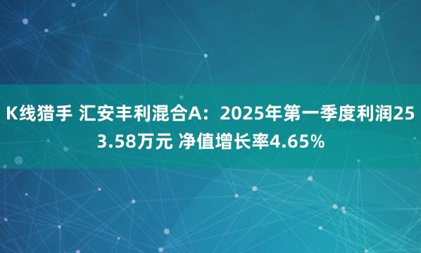 K线猎手 汇安丰利混合A：2025年第一季度利润253.58万元 净值增长率4.65%