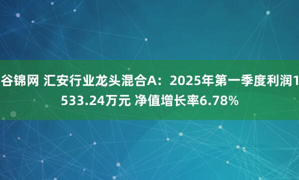 谷锦网 汇安行业龙头混合A：2025年第一季度利润1533.24万元 净值增长率6.78%