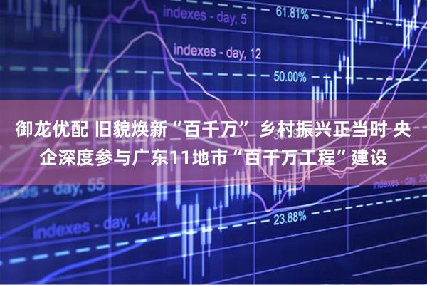 御龙优配 旧貌焕新“百千万” 乡村振兴正当时 央企深度参与广东11地市“百千万工程”建设