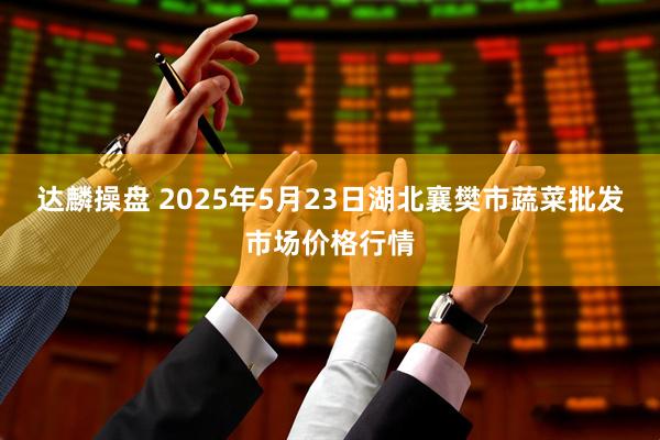 达麟操盘 2025年5月23日湖北襄樊市蔬菜批发市场价格行情
