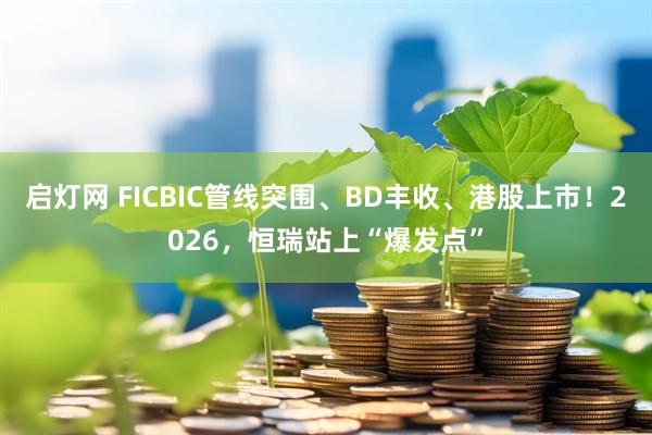 启灯网 FICBIC管线突围、BD丰收、港股上市！2026，恒瑞站上“爆发点”
